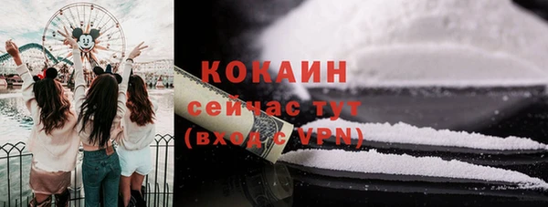 apvp Каменка