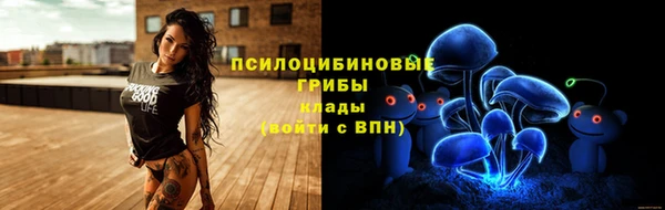 apvp Каменка