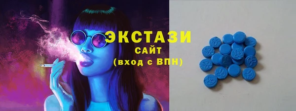 apvp Каменка
