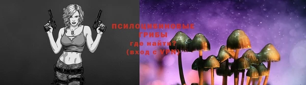 apvp Каменка