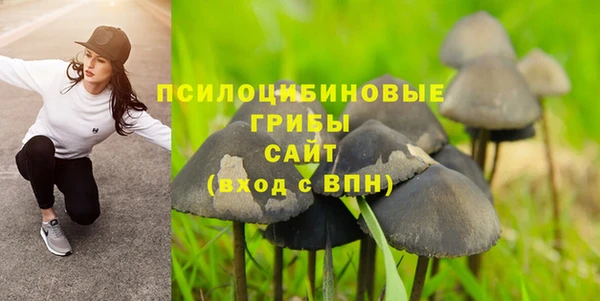 mdpv Каменск-Шахтинский