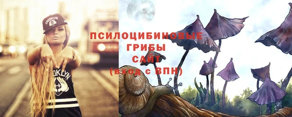 apvp Каменка