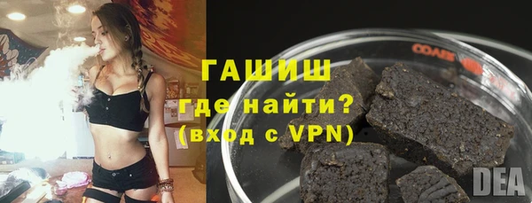apvp Каменка
