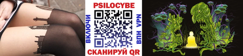Купить где  Новое Девяткино  Галлюциногенные грибы GOLDEN TEACHER 